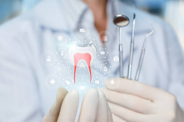 Our Range of Dental Services in Flat Rock, MI